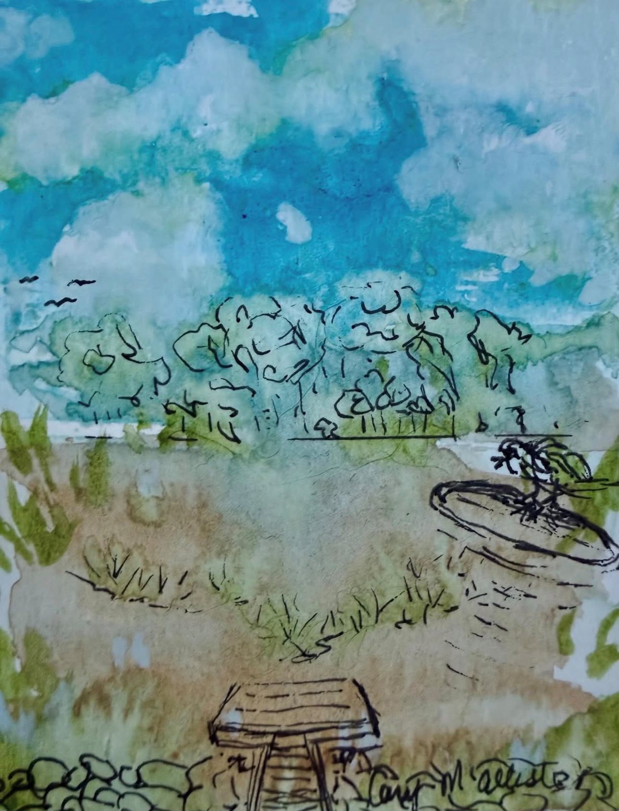 The Birdbath — Watercolor & ink