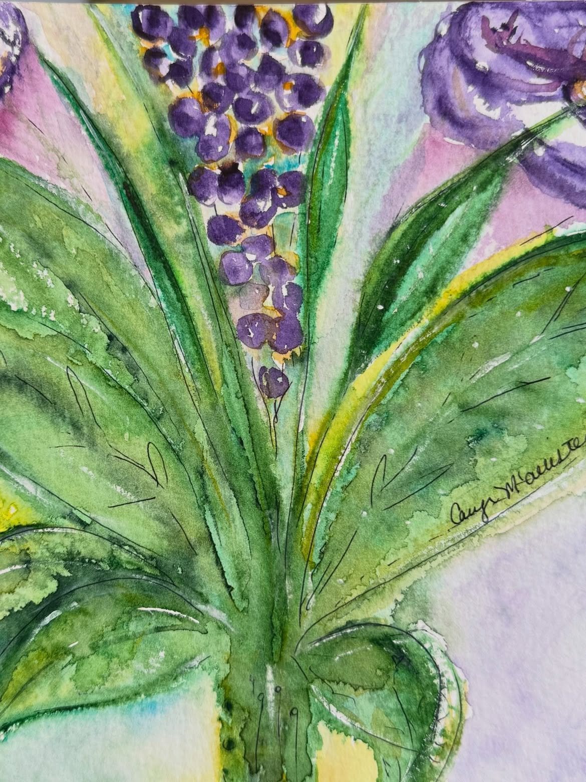 Grape Hyacinths — Watercolor & ink