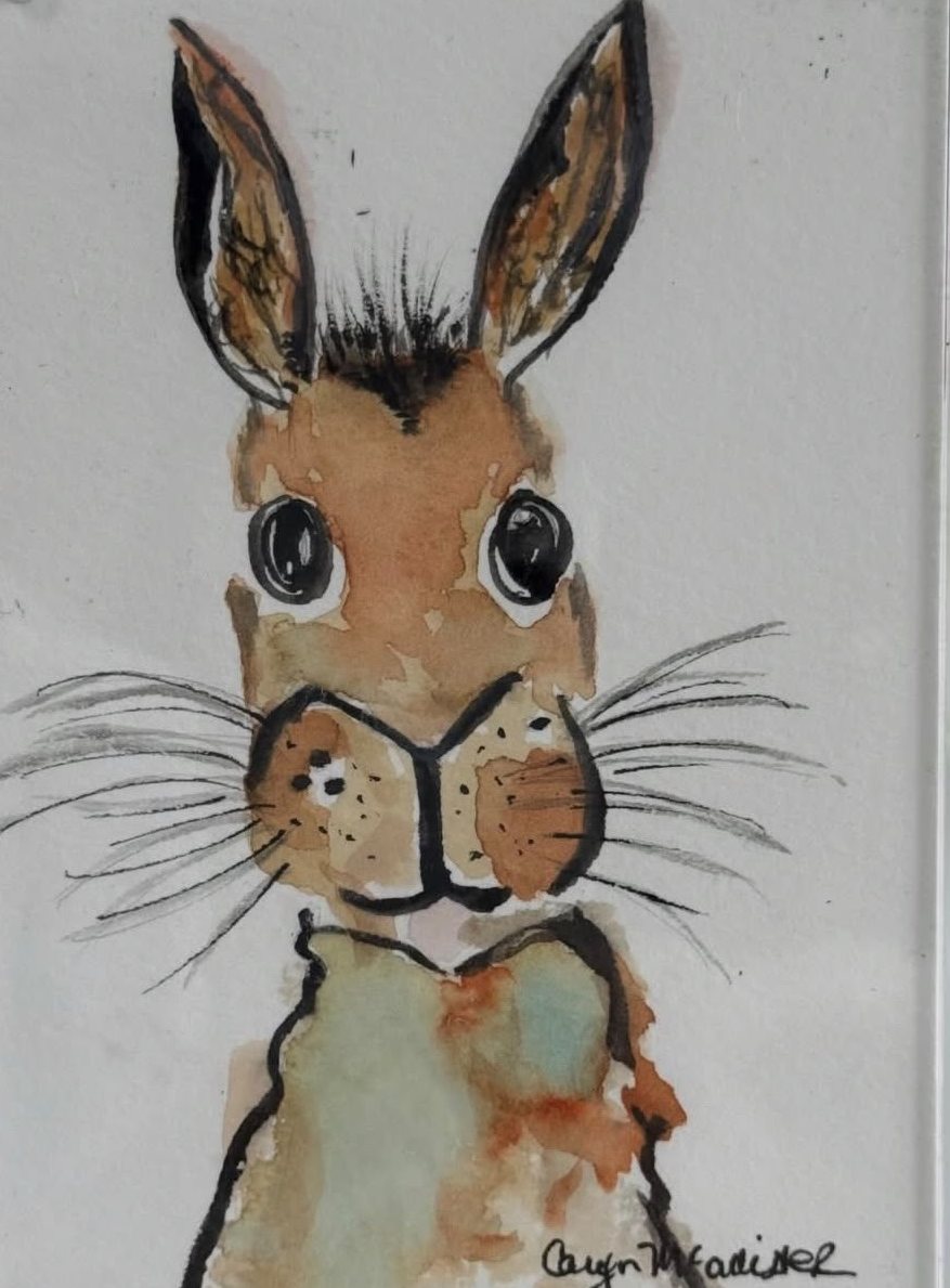 Young Hare — Watercolor & ink